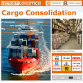 Professional Logistics Shipping/Shipping Service From China (Shipping Service)
